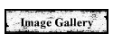 Image Gallery